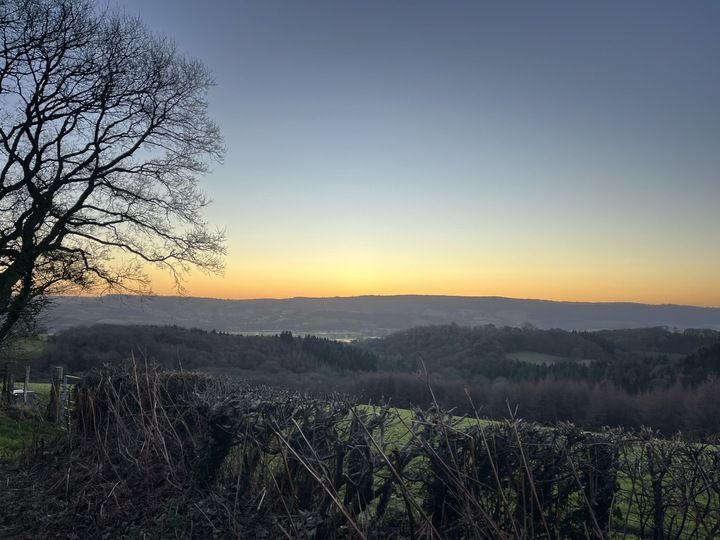 Clear-skied sunrise over a distant hill. An orange-hued horizon sits above a long ridgeway in the background. In the mid- and foreground are soft hills and fields. To the left, a leaf-less tree creates a striking silhouette.