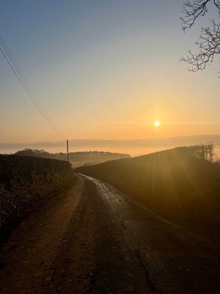 A pale orange sun spreads its rays over a valley. The sky is clear and pale blue. An orange-tinted, shadowy ridgeway peeks up from behind low mist. In the foreground a country lane, lined with hedgerows and electricity wires that look like spider webs on wooden poles to one side, winds downhill into the distance towards a misty pine wood