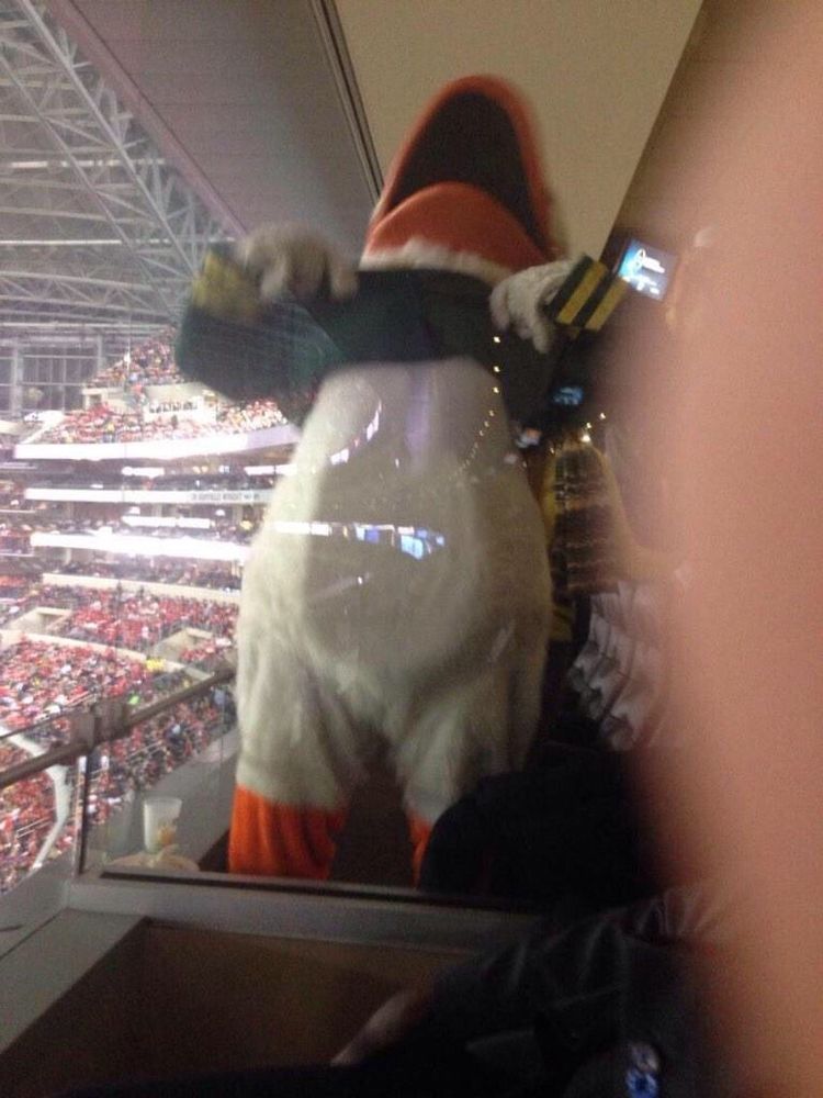 THE DUCK, FEELING A CERTAIN WAY