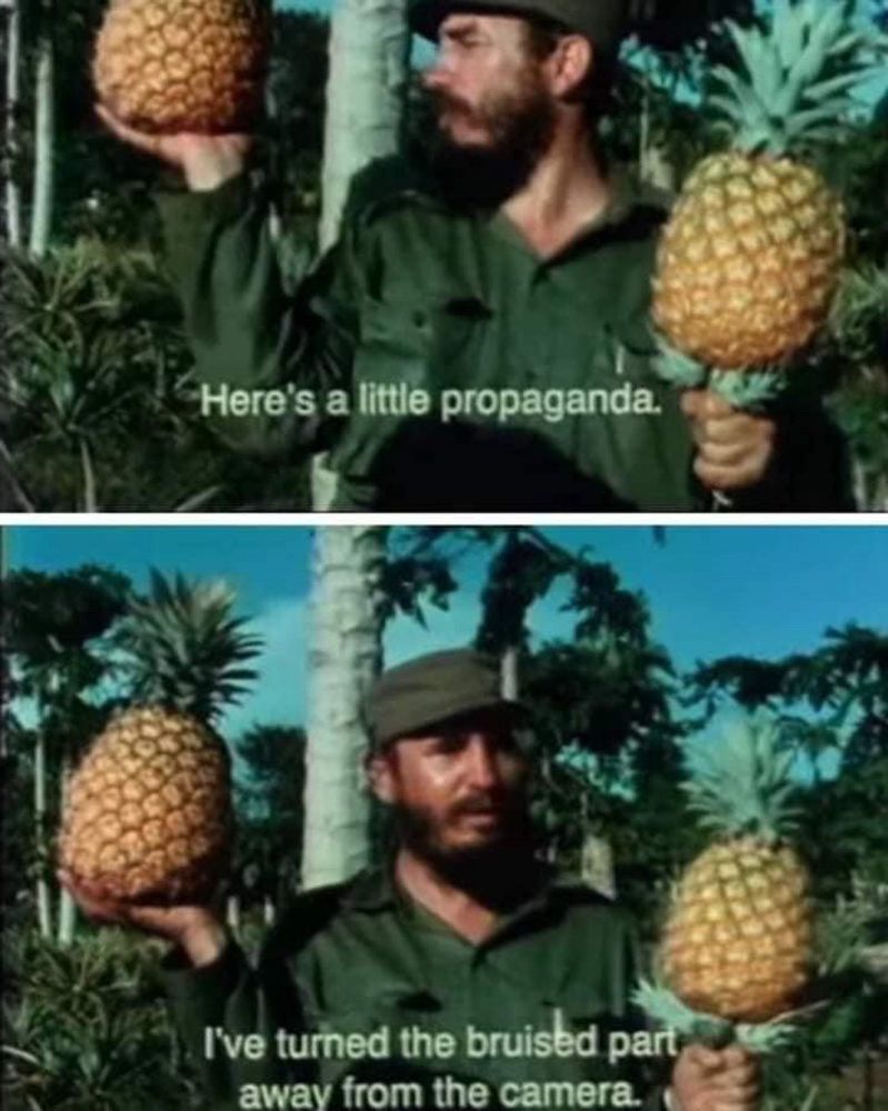 "Here's a little propaganda: 'I've turned the bruised part away from the camera.'"