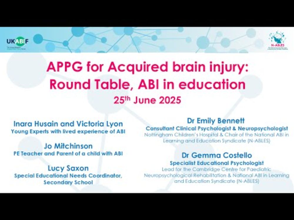 APPG Round Table, ABI in Education