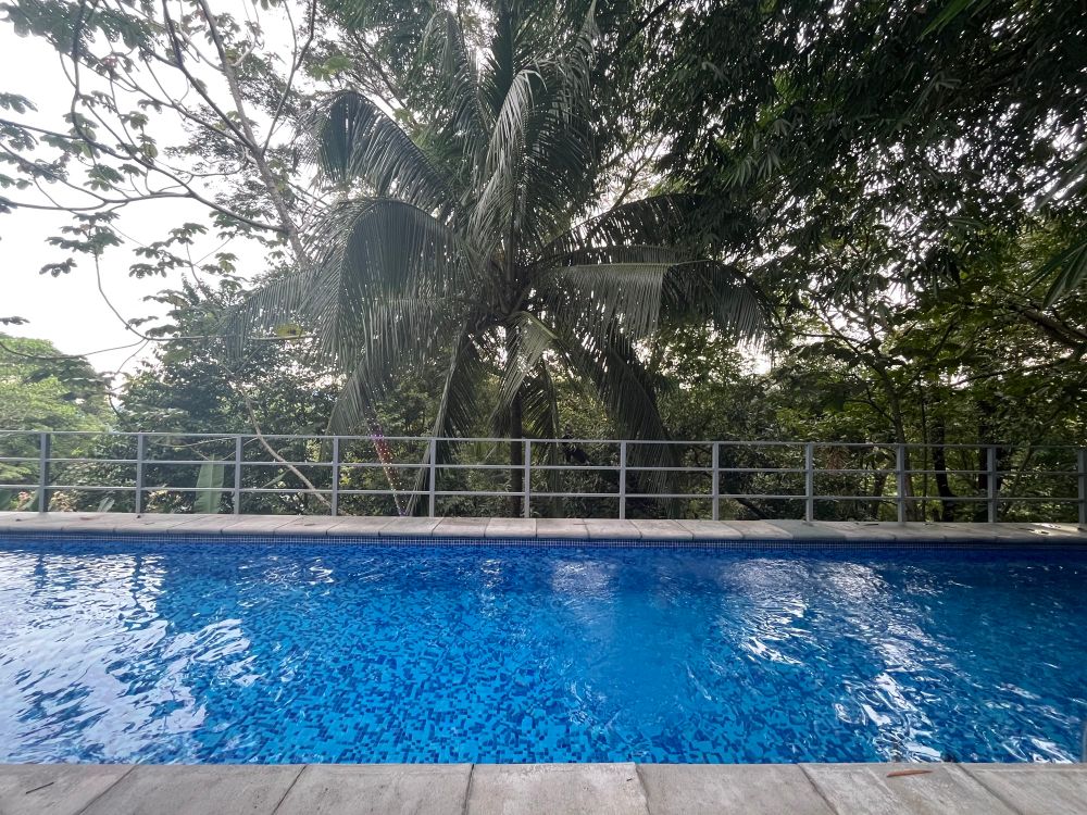 Lap pool and tropical jungle behind it. 