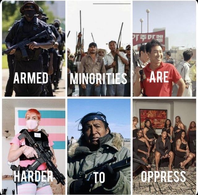 The quote "ARMED MINORITIES ARE HARDER TO OPPRESS" with each word overlaid at the bottom of a different picture. The pictures are, in order: a queue led by a POC man wearing tactical gear including face mask and sunglasses, carrying an assault rifle, with similar-looking people behind; a crowd of Mexican people in mostly shirts and jeans, raising their long guns in the air; a group of Korean people, the red-shirted man at the front holding up their rifle; a trans woman wearing a pink t-shirt, blue booty shorts, pink and white striped thigh-high socks, white facemask, black tactical vest and black tactical belt, carrying an assault rifle, with a trans pride flag on the wall behind them; an indigenous American in a jacket holding a scoped bolt-action rifle; a group of POC women in black dresses and high heels, holding mostly pistols with one shotgun.