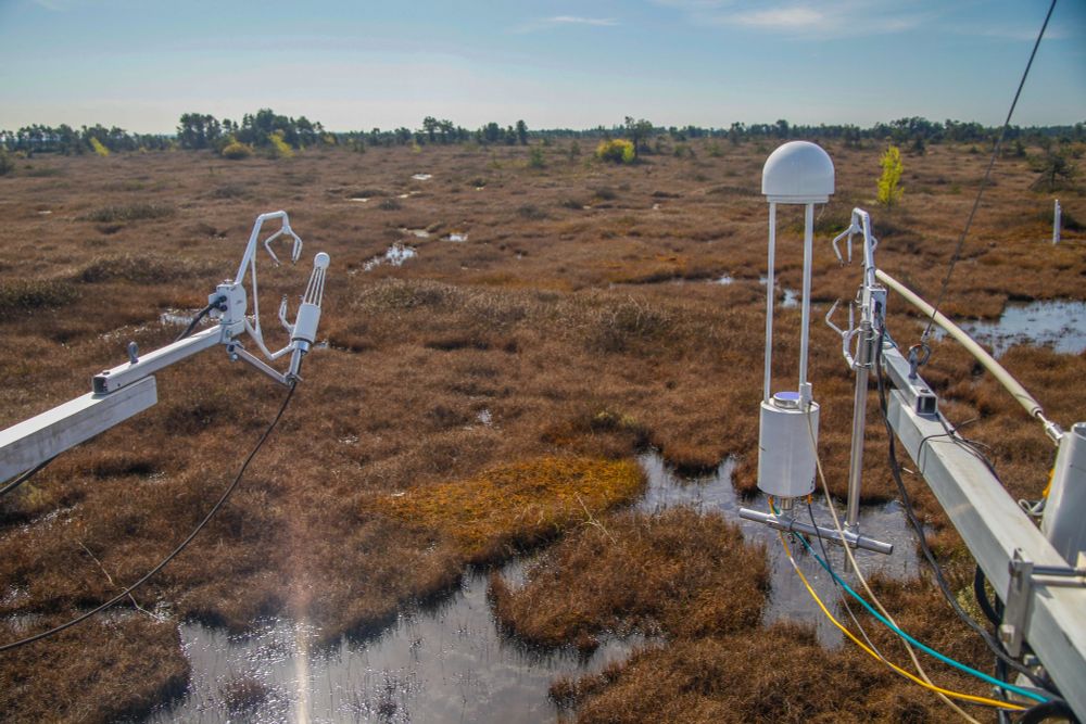 This study quantified surface energy balance and evapotranspiration in a Sphagnum-dominated ombrotrophic bog located near their southern limit in western North America on the Coast of British Columbia. We use ecohydrologicical and eddy-covariance measurements on a flux tower to assess the bog’s sensitivity to future climatic conditions, particularly to increasing severity and duration of drought conditions. 