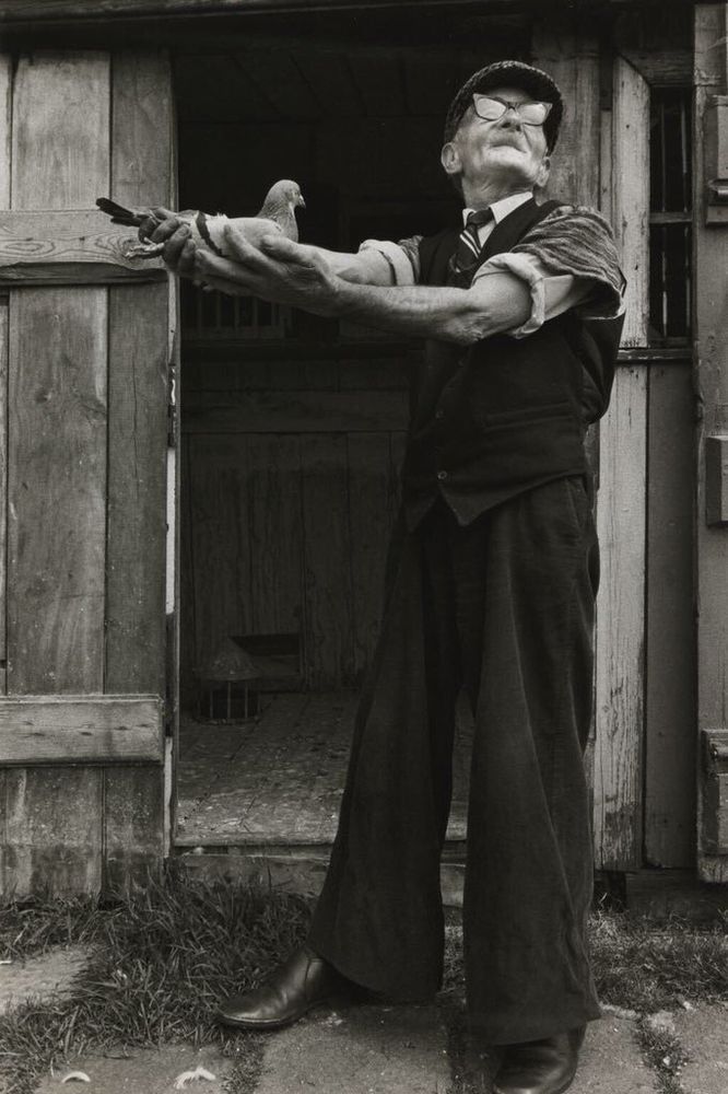 A man in a flat cap and glasses holds a pigeon in his outstretched hands while looking up at the sky
