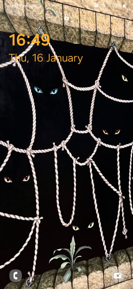 A painting of a dark space between two brick walls - above and below the space. White rope is hung, like a cobweb over the mouth of the darkness. Cats eyes peer out from the dark.