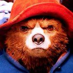 Paddington Bear and his hard stare.