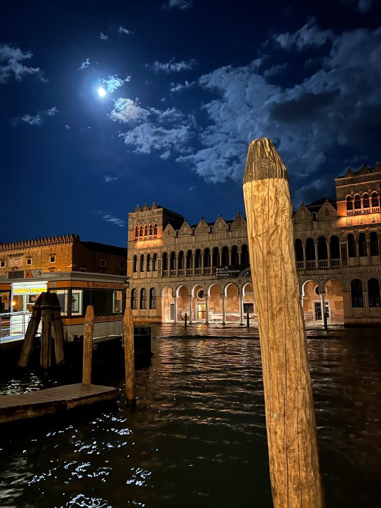 A bewitching night in Venice. 