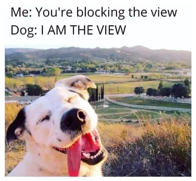 Comment image