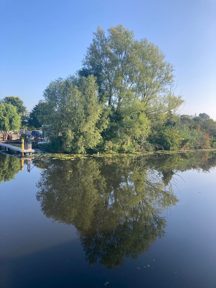 Bomen aan de oever van een kalme rivier

Op de foto zie je een groepje grote, groene bomen aan de rand van een kanaal. Het water is bijna geheel spiegelglad, waardoor de bomen en de blauwe lucht prachtig reflecteren in het water. Links op de foto is een klein aanlegsteiger of ponton zichtbaar, waar een paar mensen en een donkere auto bij staan. Het is een heldere dag met een strakblauwe lucht, waardoor de hele scène rustig en vredig oogt.