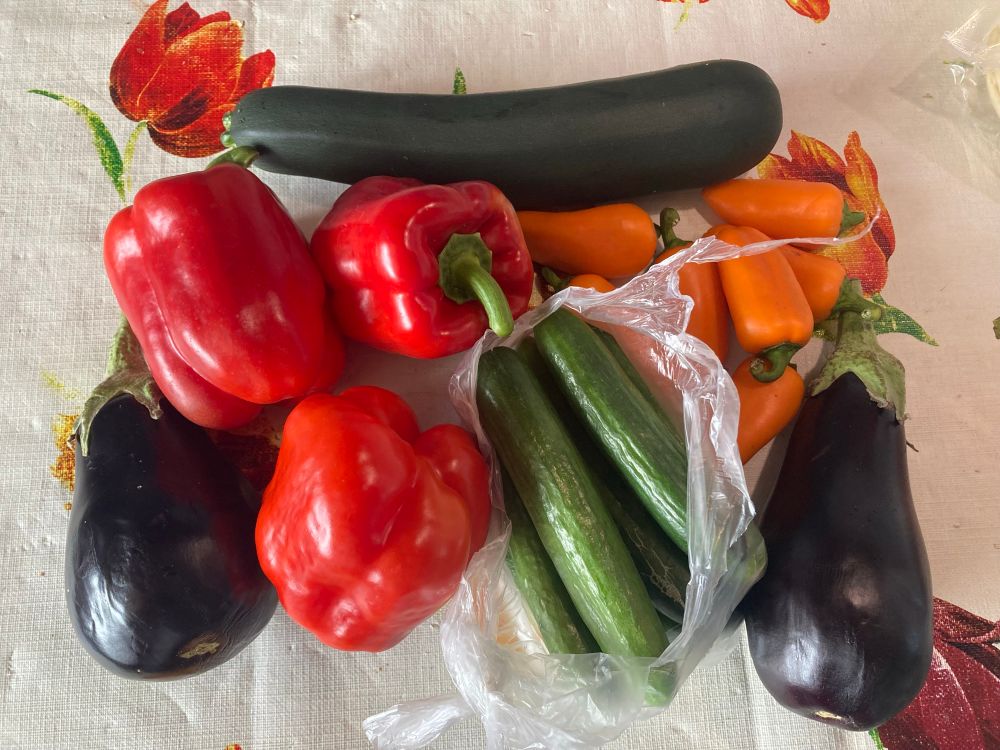 Groenten op een tafelkleed. Op de foto liggen: twee aubergines (donkerpaars), drie rode paprika’s, een courgette (bovenaan, donkergroen), een plastic zakje met kleine komkommers, en een aantal oranje puntpaprika’s of mini paprika’s. Het geheel ligt op een tafelkleed met een tulp-patroon.