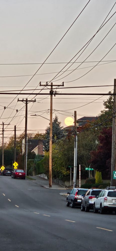 Early morning street scene. The setting moon is huge and bright in the sky, looking more like the sun than the moon