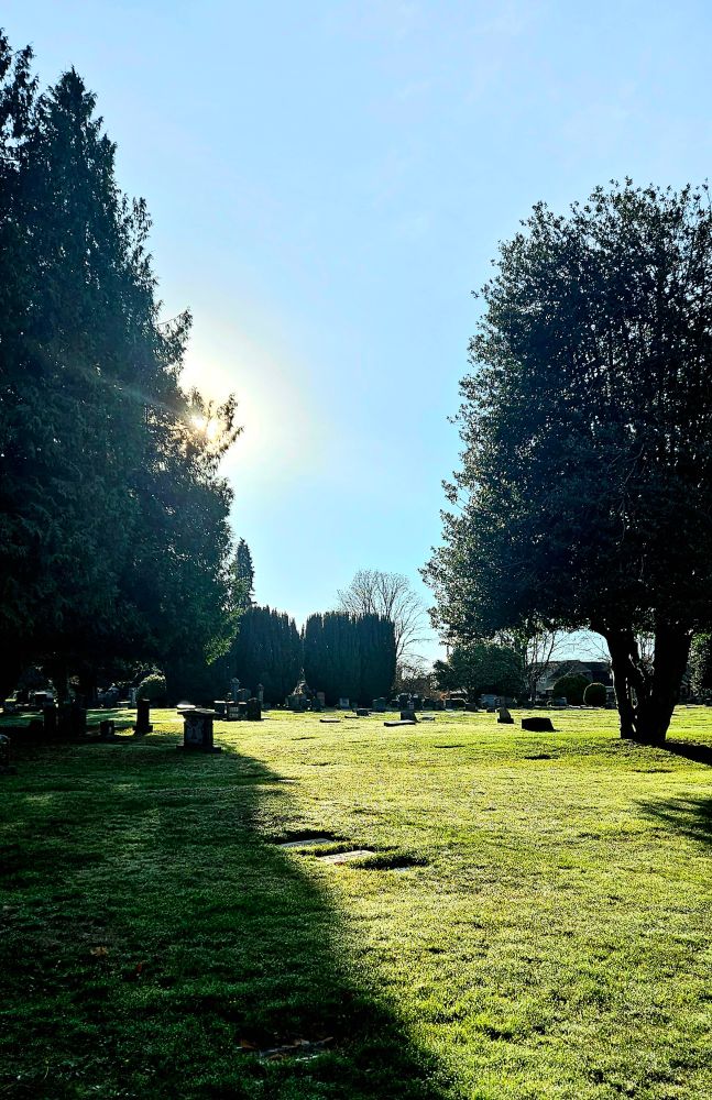Mount Pleasant cemetery on a sunny afternoon with the sun peeking out from a tree, casting a dramatic shadow