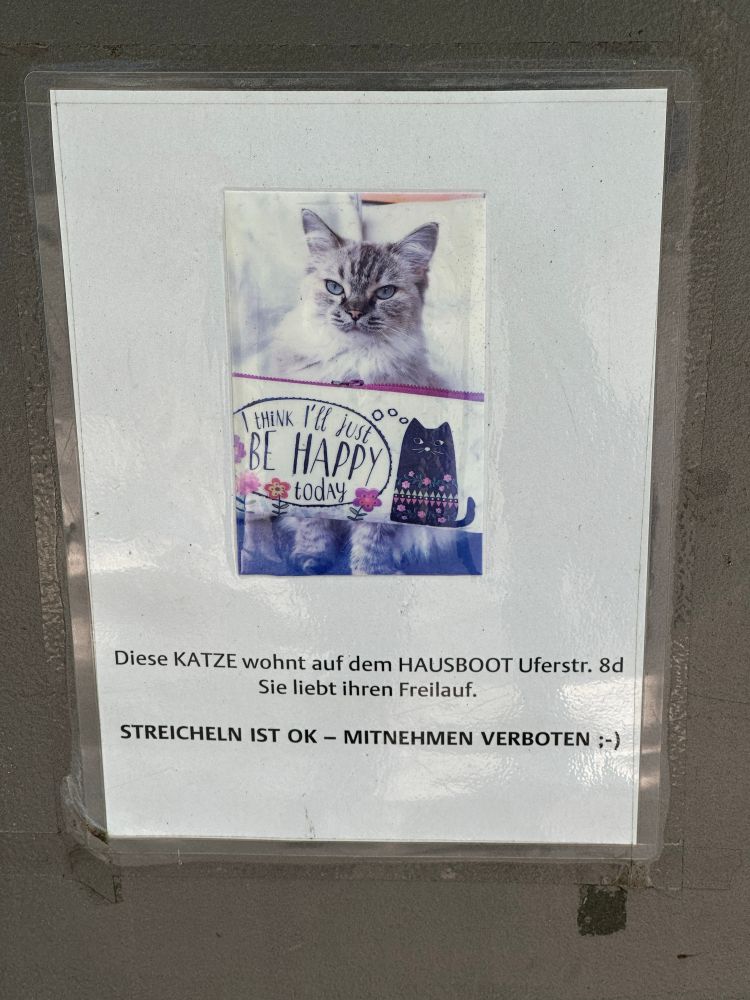 A small flier with a photo of a beautiful cat on it with a sticker of a cat below it that reads I think I’ll just be happy today. Below that in German (but I don’t speak German!) the gist of the text is that the cat has a home but can roam! You can pet but you may not take!