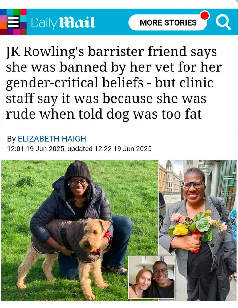 Daily Mail article headlined ‘JK Rowling's barrister friend says she was banned by her vet for her gender-critical beliefs - but clinic staff say it was because she was rude when told dog was too fat’