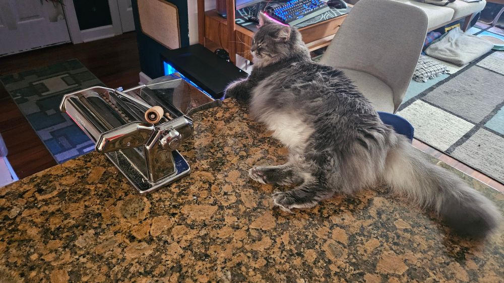 A gray cat rests on a countertop next to a pasta making machine