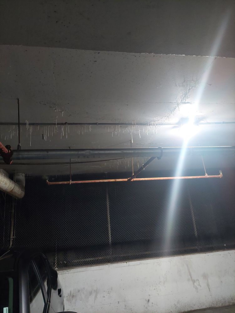 Oh, what a feeling! When there's goo on the ceiling!!