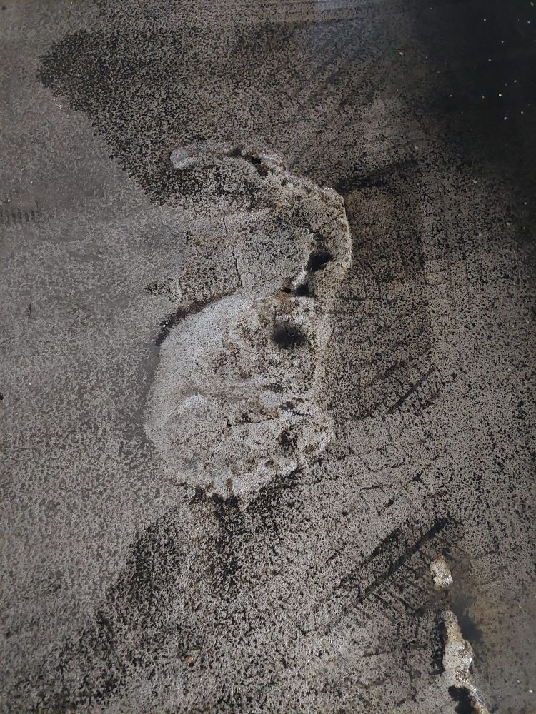 This goo looks like cement. But it squirms like flesh if you poke it.