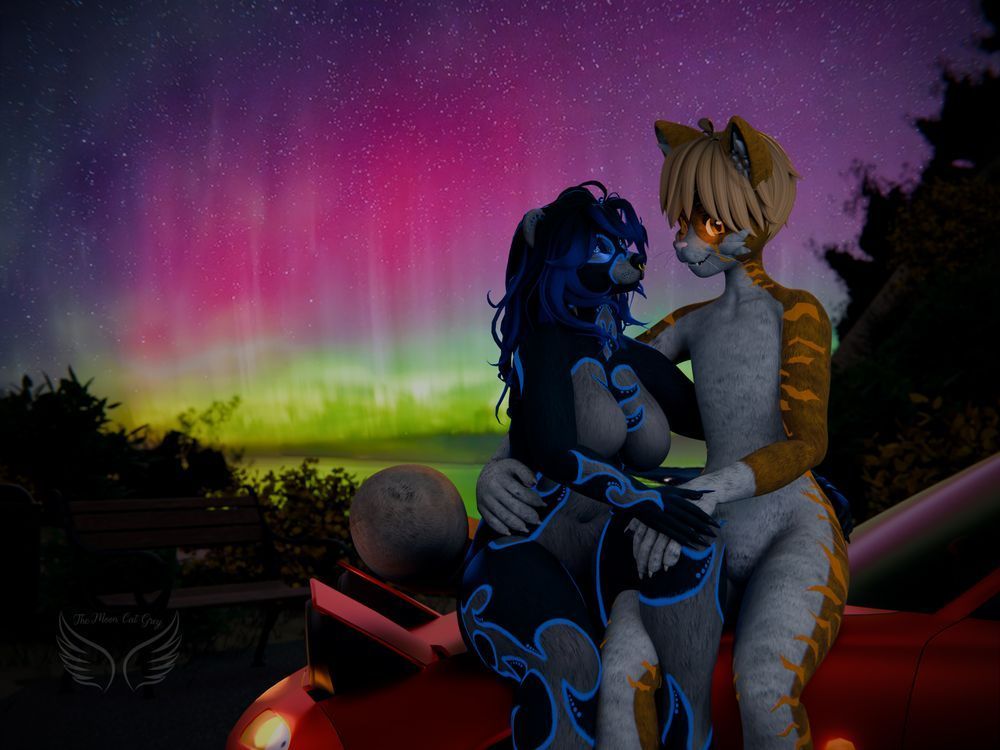 Two anthropomorphic characters sitting on a red car, cuddling under a sky with pink, green, and purple northern lights.

ART BY: The Moon Cat Grey