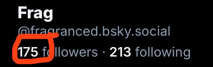 My Bsky account with 175 followers