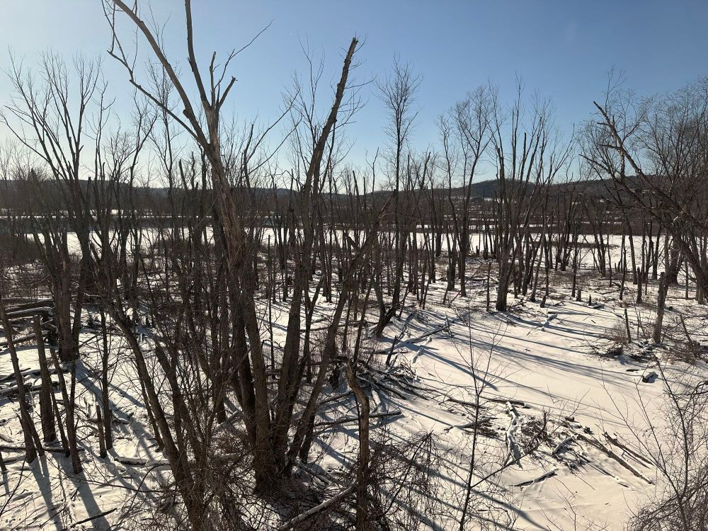 Lowland along the Mississippi River near La Crescent, Minnesota