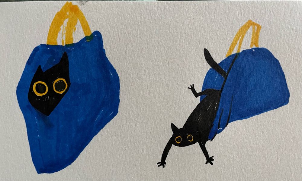 two small illustrations of a black cat in an IKEA bag. the first illustration shows the bag mostly closed with the cat’s head (and giant round yellow eyes) sticking out. In the second illustration the cat is rather ungracefully falling out of the bag, limbs in every direction