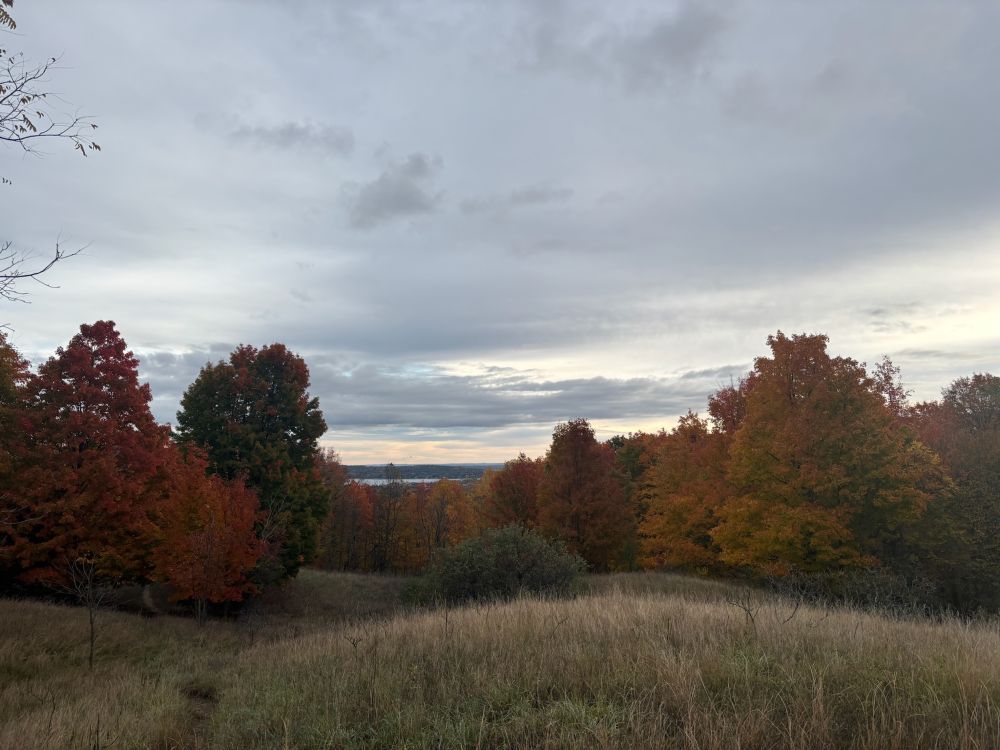 A grey sky over rolling hills covered in trees of many colors. A peak of a lake is in the background.