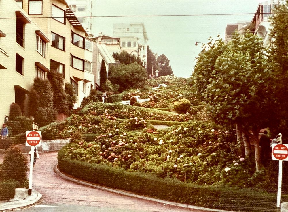 A steep, winding street lined with colorful flowers and shrubs, featuring residential buildings on either side. Road signs indicate "DO NOT ENTER," and a few pedestrians are visible among the greenery. The scene has a vintage appearance.