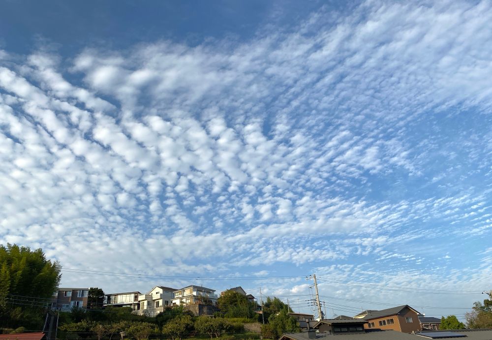 A clear sky filled with fluffy, white clouds stretches over a hillside with several houses. Green trees and utility poles are visible in the foreground.
