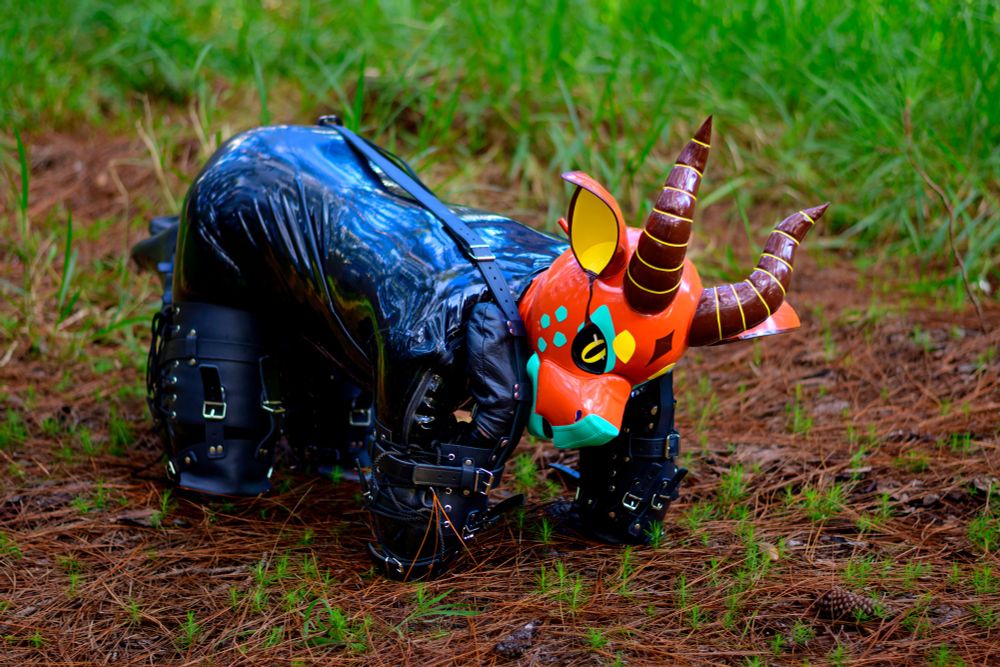 Person in a catsuit and leather bitchsuit wearing a derg hood standing in a field