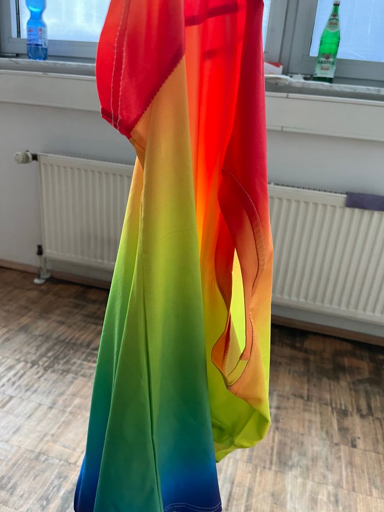 The t-shirt. It is rainbow coloured.