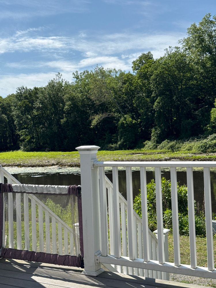 The view of the pond from my porch ;)