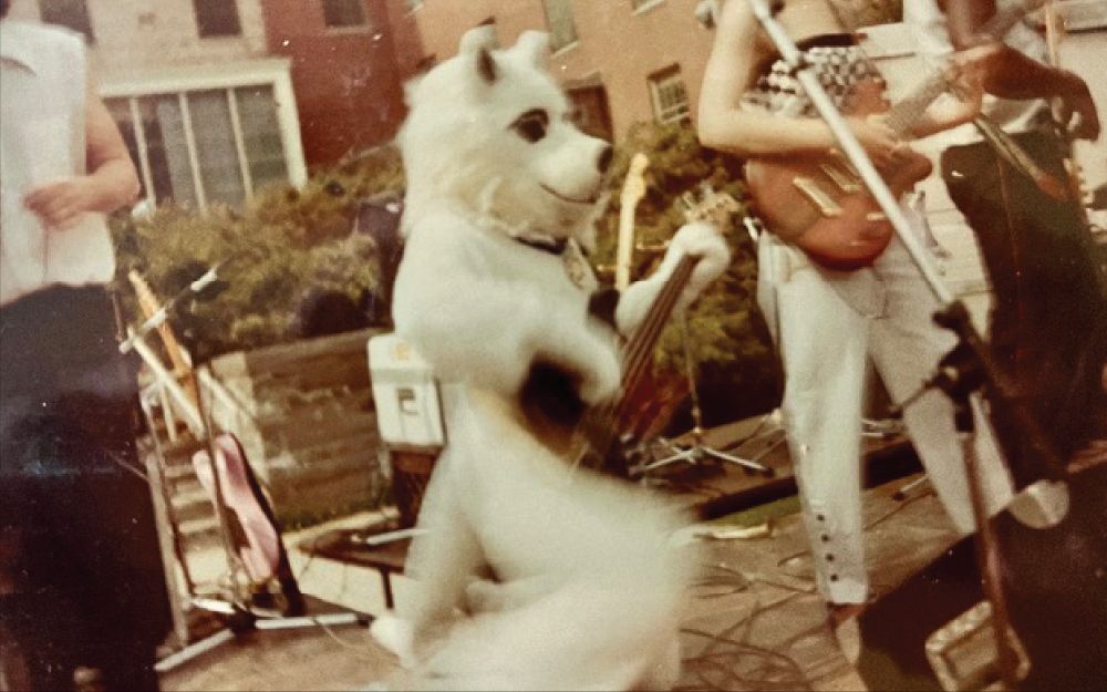 An old "Jonathan the Husky" playing a bass guitar