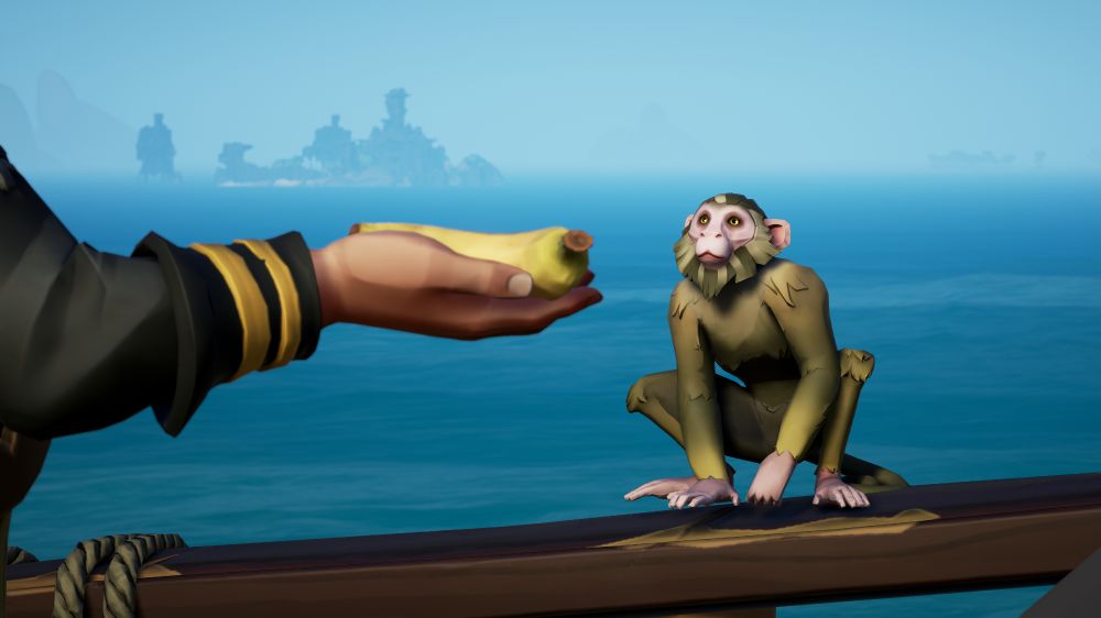 A small monkey eyes a banana being offered to it by a pirate.