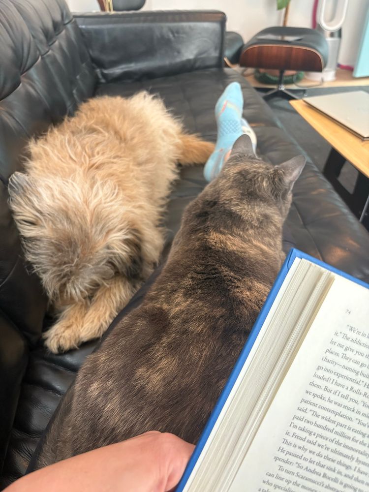 Cat and book on lap and outstretched legs, dog coming in from the other side of the couch to form a feline-canine yin yang thing. A very cozy moment. 
