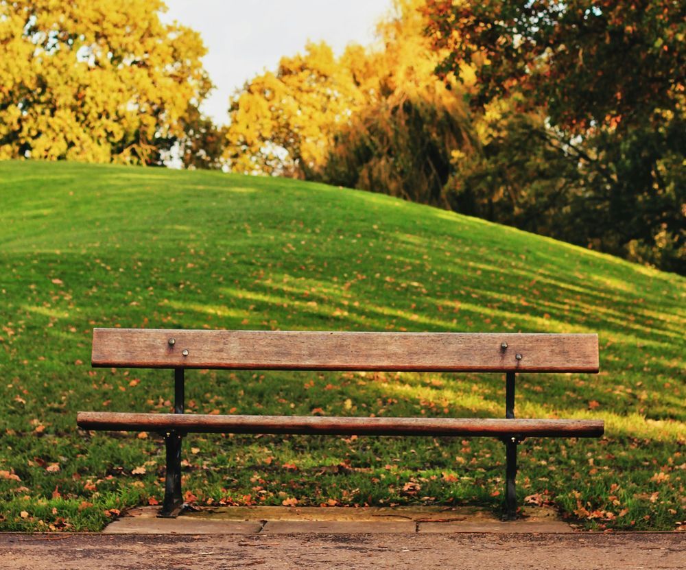 A wooden park bench in front of a lush green hill and some trees dappled by sunlight, in a photo taken by Metin Ozer.