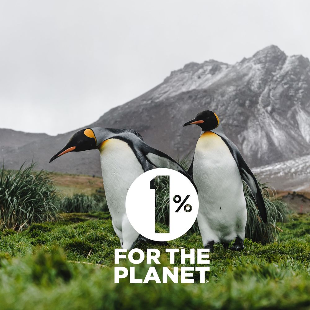 Two penguins are walking on a green and rocky piece of land with mountains in the background. In front of them is the 1% for the Planet logo.