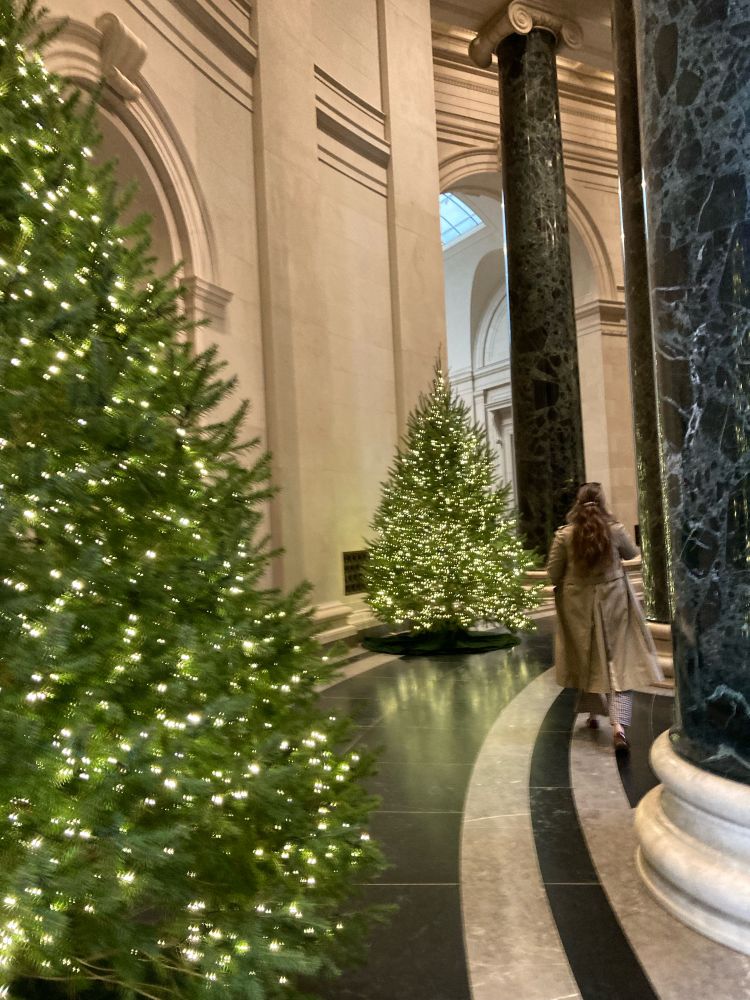Christmas trees (real ones!) witb white lights around the rotunda at the National Gallery of Art. Tall green marble columns on the right. 