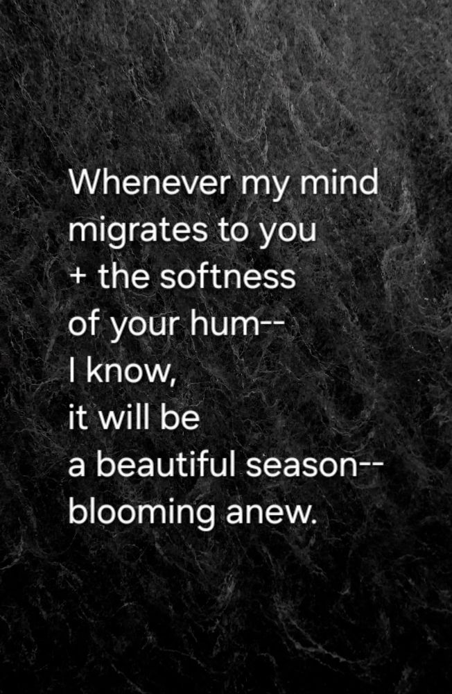 Whenever my mind
migrates to you
+ the softness 
of your hum--
I know,
it will be
a beautiful season--
blooming anew.
