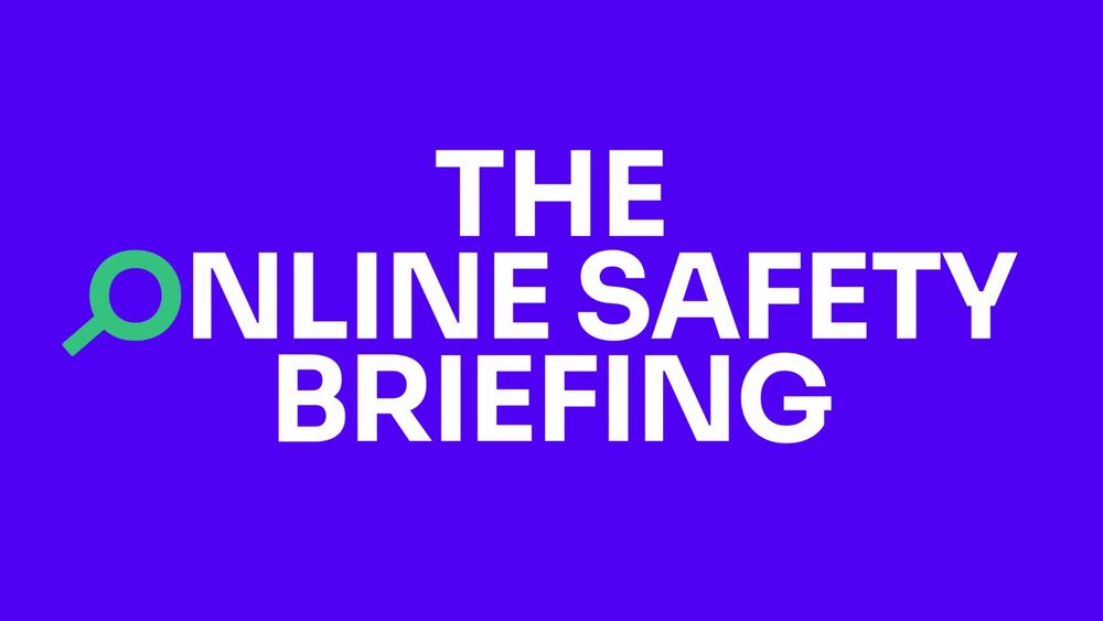 Blue background with white text that says: "The Online Safety Briefing"