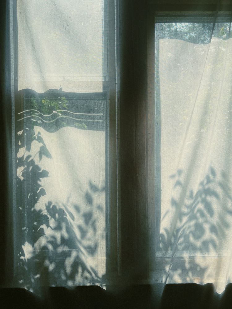 blue shadows of leaves on somewhat sheer gauzy curtains through the window
