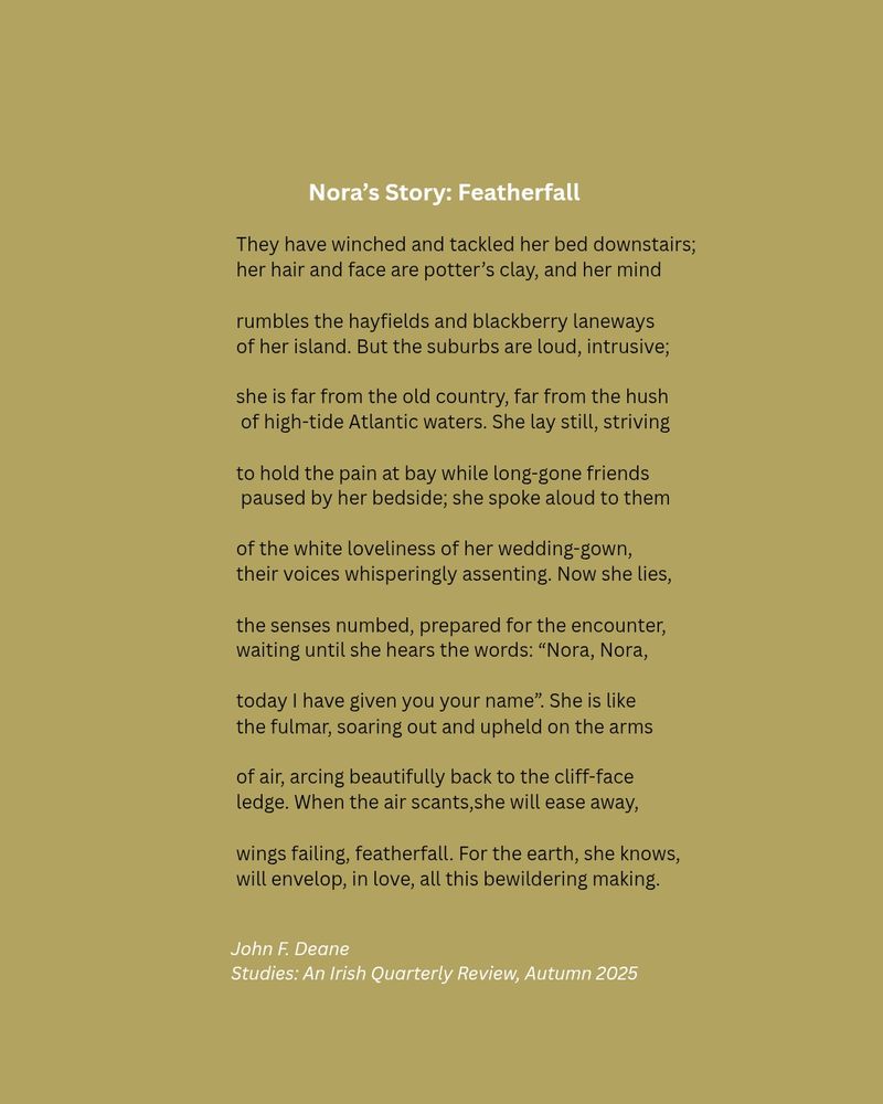 A poem by Irish poet John F. Deane, published in the Autumn 2025 edition of Studies:  An Irish Quarterly Review.

Title: Nora's Story: Featherfall

They have winched and tackled her bed downstairs; 
her hair and face are potter’s clay, and her mind

rumbles the hayfields and blackberry laneways 
of her island. But the suburbs are loud, intrusive;

she is far from the old country, far from the hush
 of high-tide Atlantic waters. She lay still, striving

to hold the pain at bay while long-gone friends
 paused by her bedside; she spoke aloud to them

of the white loveliness of her wedding-gown, 
their voices whisperingly assenting. Now she lies,

the senses numbed, prepared for the encounter, 
waiting until she hears the words: “Nora, Nora,

today I have given you your name”. She is like 
the fulmar, soaring out and upheld on the arms

of air, arcing beautifully back to the cliff-face 
ledge. When the air scants,she will ease away,

wings failing, featherfall. For the earth, she knows, 
will envelop, in love, all this bewildering making.




