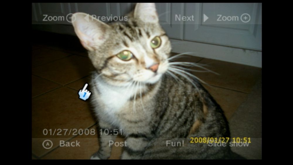 photo of a cat taken with bright flash, screenshot from a nintendo wii. date in corner says 01/27/2008