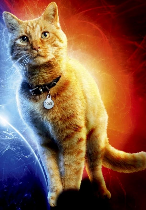 Goose, the Flerken from Captain Marvel in the MCU