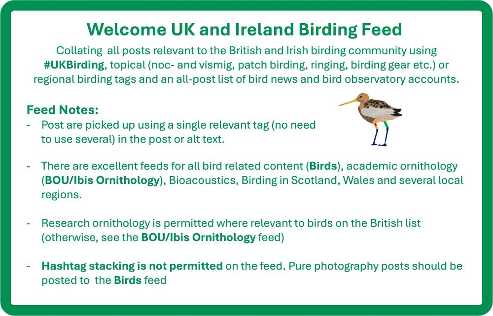 Feed notes for UK Birding:
Post are picked up using a single relevant tag (no need to use several) in the post or alt text.

There are excellent feeds for all bird related content (Birds), academic ornithology (BOU/Ibis Ornithology), Bioacoustics, Birding in Scotland, Wales and several local regions. 

Research ornithology is permitted where relevant to birds on the British list (otherwise, see the BOU/Ibis Ornithology feed)

Hashtag stacking is not permitted on the feed. Pure photography posts should be posted to  the Birds feed
