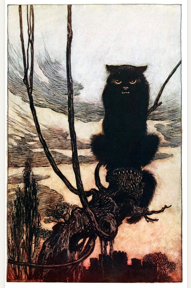 A fierce black cat with lowering eyes and bared teeth sits on a gnarled tree branch in front of a grey, moody sunset.