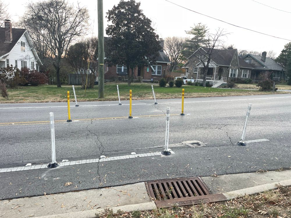 Side view of the flex posts