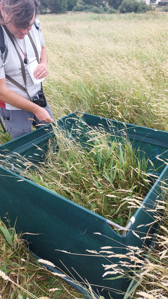 Le biocénomètre posé dans une prairie : comme un parc d'enfant, sans dessus et sans fond, d'1m de côté, avec des bords de fin grillage. 