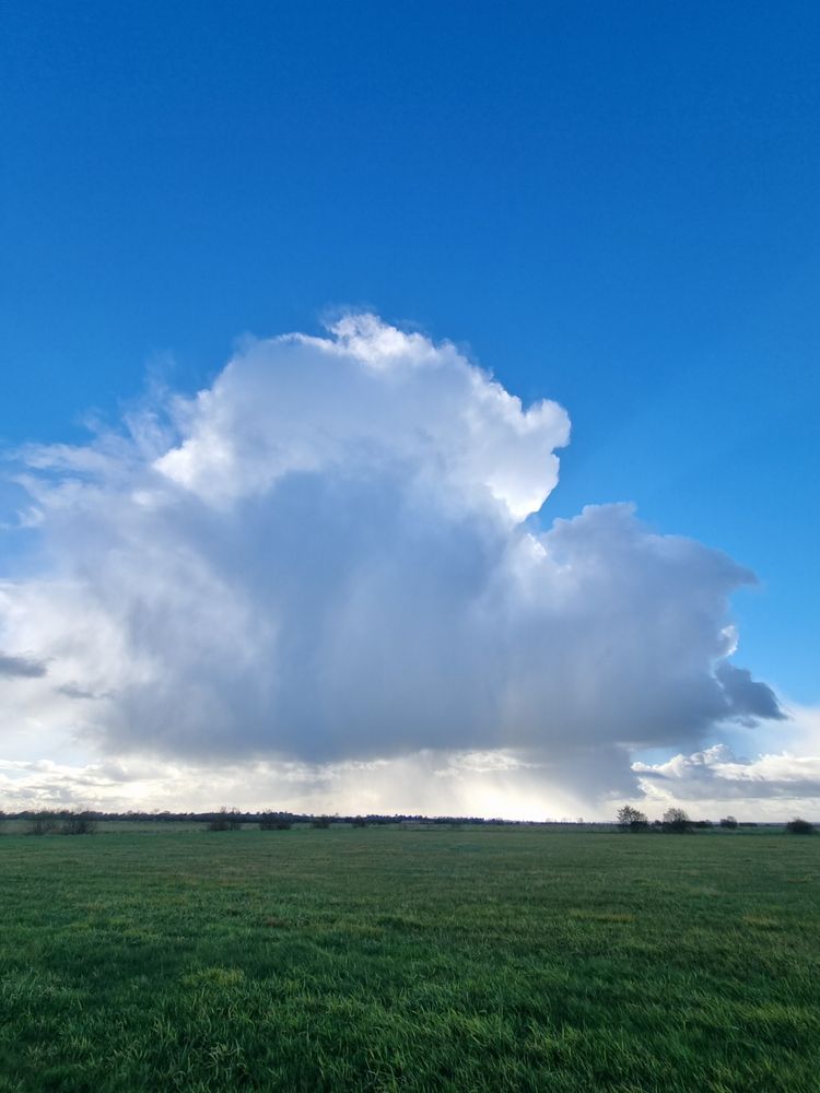Un nuage d'orage, un gros cumulo-nimbus au sommet tout effiloché, aux flancs gris-bleu ourlés de blanc brillant, déverse de la pluie sur une prairie qui s'étend jusqu'à l'horizon. Il est isolé dans un ciel d'un bleu profond.