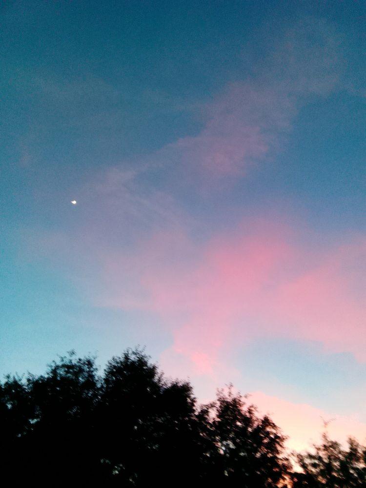 A blue and pink sky at sunset over trees.